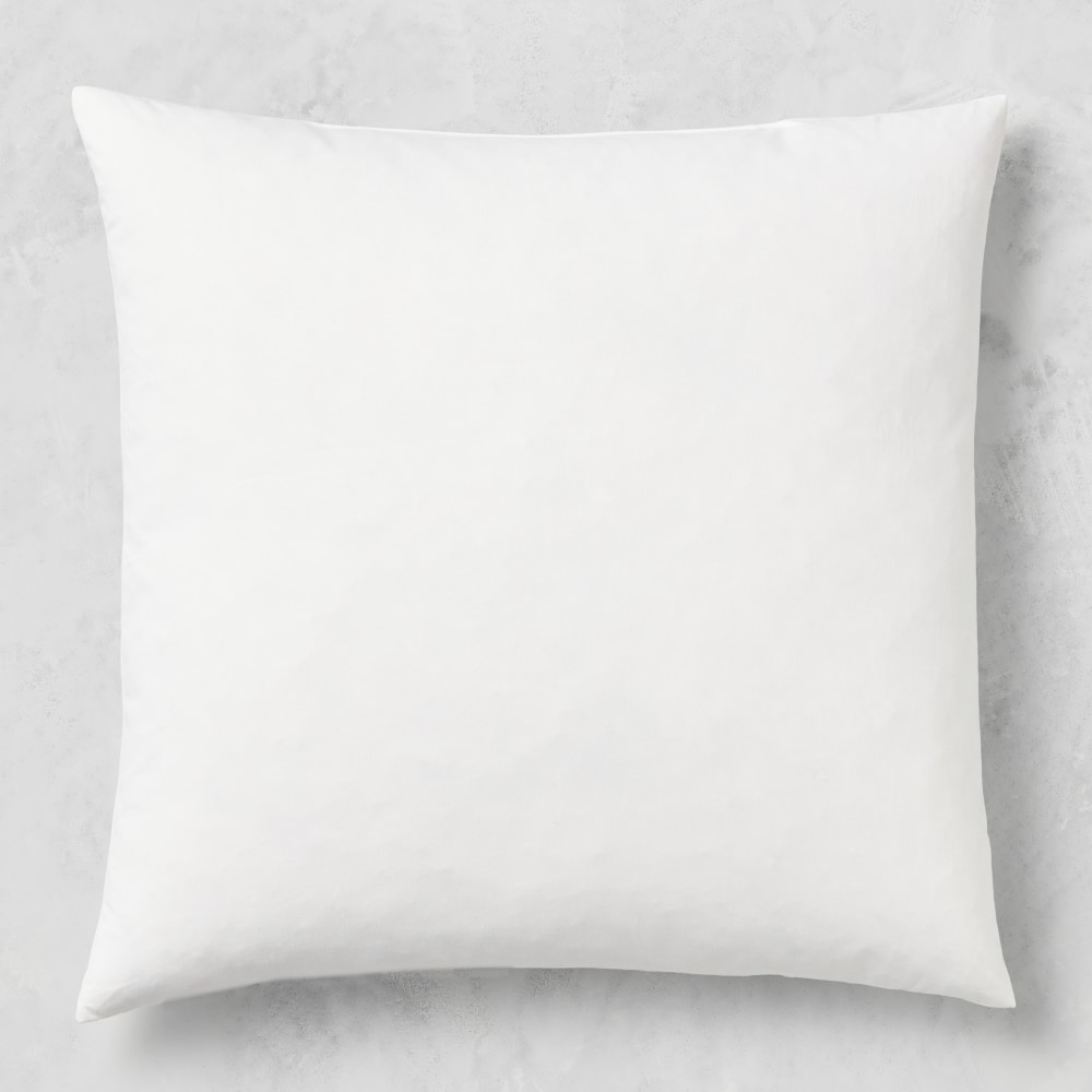 Down Pillow Insert - 22" X 22"