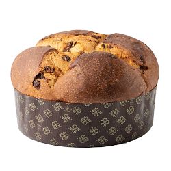 Chocolate Pistachio Panettone