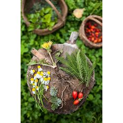 Eve &amp; Eivin Kilcher: Homestead Kitchen: Stories and Recipes from Our Hearth to Yours