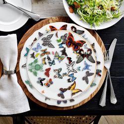 Christian Lacroix Butterfly Parade Salad Plates, Set of 4
