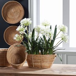 Faux Agapanthus Drop-In, 23"