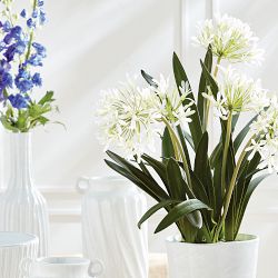Faux Agapanthus Drop-In