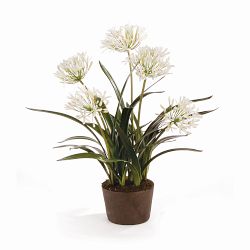 Faux Agapanthus Drop-In