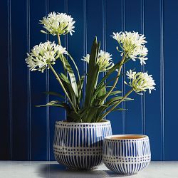 Faux Agapanthus Drop-In