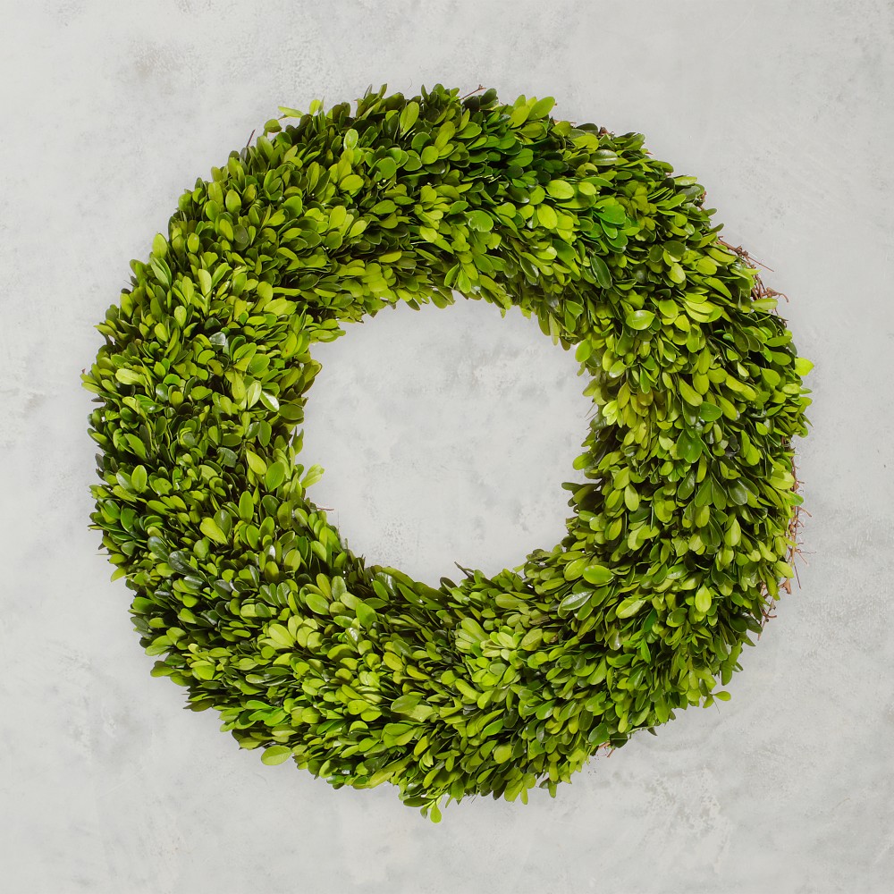 Preserved Boxwood Wreath, 20"