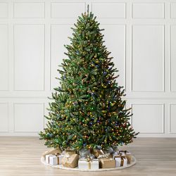OPEN BOX: Balsam Hill Traditional Colorado Green Pre-Lit Spruce, 7.5', LED Color+Clear