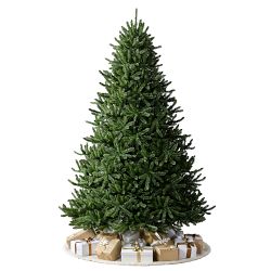 Balsam Hill Traditional Colorado Green Pre-Lit Spruce, 6.5'-9'