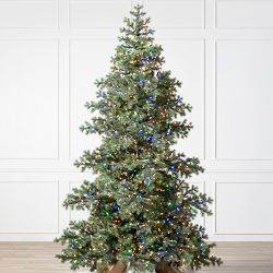 Balsam Hill Most Realistic Yukon Spruce Faux Tree, 6'-9'