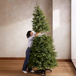 Balsam Hill Silverado Slim Flip Tree 7' - 9'
