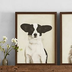 Limited Edition Dog Portrait III, Cosmo