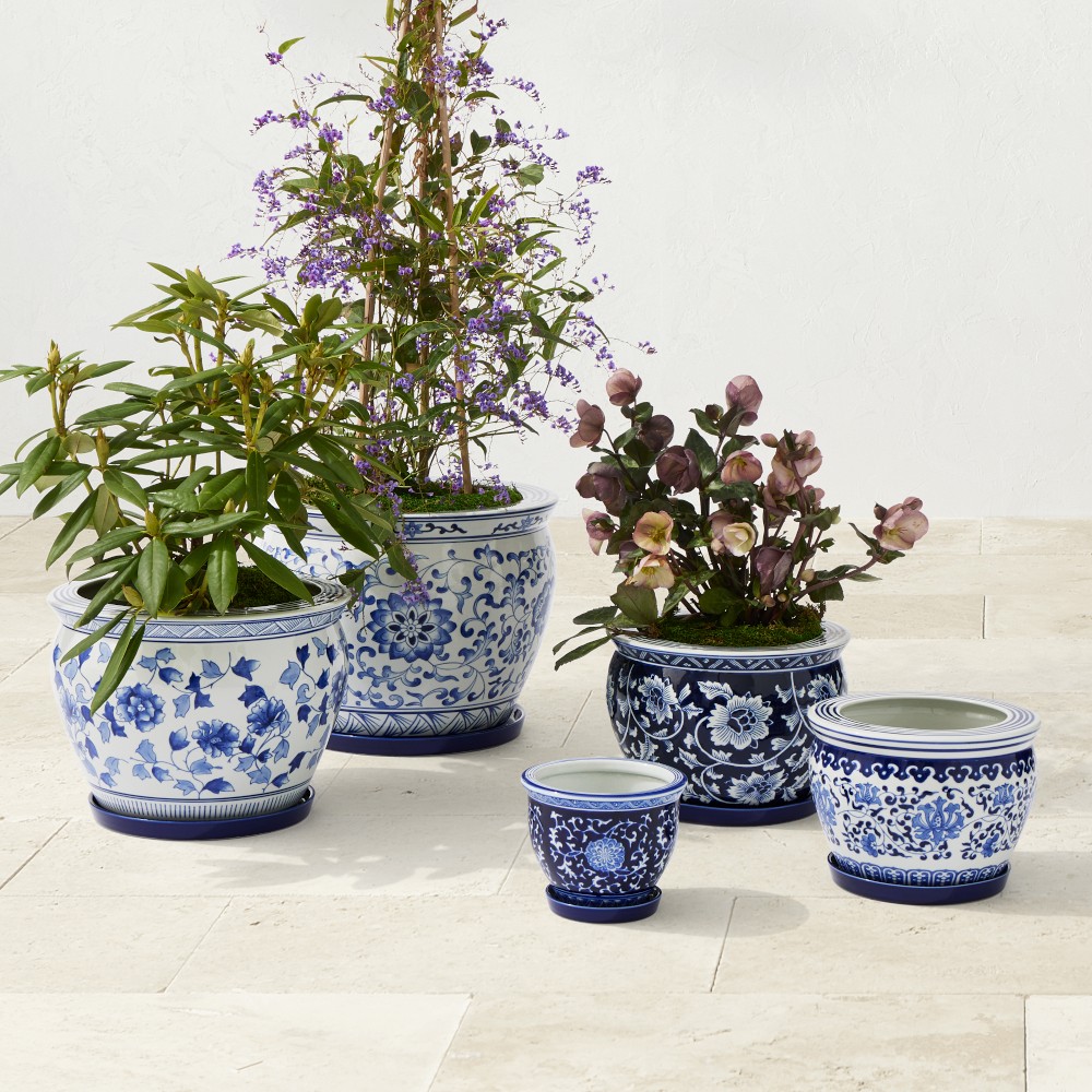 Blue &amp; White Ceramic Planter with Tray Collection
