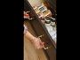 Video 2 for Hold Everything In-Drawer Spice Storage