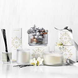 Let it Snow Frosted Clove Diffuser