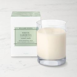 Williams Sonoma White Gardenia Candle