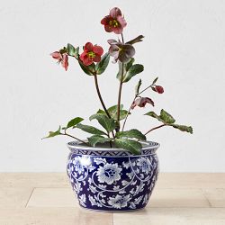 Blue &amp; White Ceramic Planter, Medium
