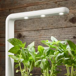 Click &amp; Grow Smart Garden System, 3-Pod, White