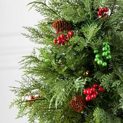 Balsam Hill Outdoor Winter Evergreen Pre-Lit Potted Tree