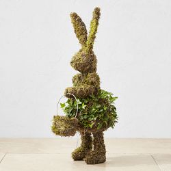 Easter Bunny with Basket Ivy &amp; Moss Live Topiary, 24&quot;