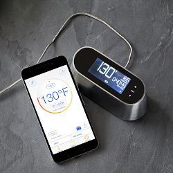 Williams Sonoma Smart Thermometer 2