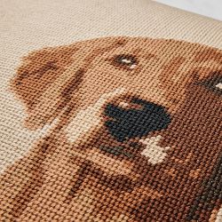 THE GEORGE x Williams Sonoma Home Dog Pillow Cover