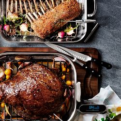 Williams Sonoma Smart Thermometer 2