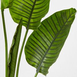 Faux Bird of Paradise Plant in Plastic Pot, 10 Leaves, 60&quot;