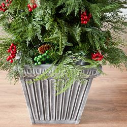 Balsam Hill Outdoor Winter Evergreen Pre-Lit Potted Tree