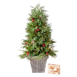 Balsam Hill Outdoor Winter Evergreen Pre-Lit Potted Tree