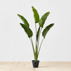 Faux Bird of Paradise Plant in Plastic Pot, 10 Leaves, 60"