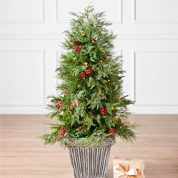 Balsam Hill Outdoor Winter Evergreen Potted Tree, 4', LED Battery-Operated