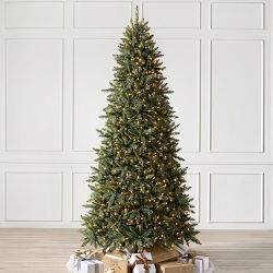Balsam Hill Traditional Concolor Pre-Lit Fir Tree, 6.5', LED Clear