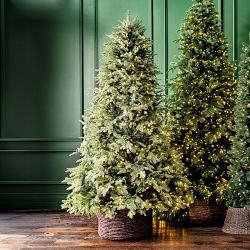 Balsam Hill Most Realistic Fraser Fir Faux Tree, 7.5'-12'