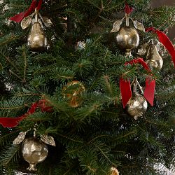 Josh Young x Williams Sonoma Home Fruit Ornaments, Set of 3