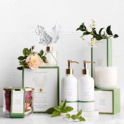 Home Fragrance Orchid &amp; Fern Hand Soap, Lotion 3-Piece Set