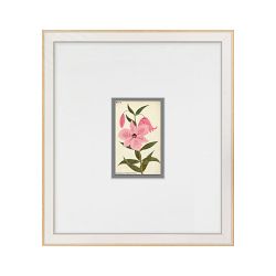 Hubbard Flower Illustrations