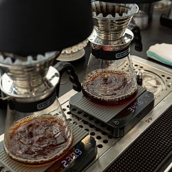 Madcap Coffee Bolt Blend Coffee Beans