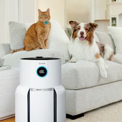 Shark NeverChange&#8482; Air Purifier MAX
