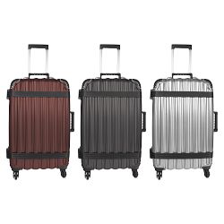VinGardeValise Grande Wine Luggage, 12 Bottles