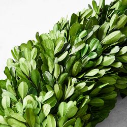 Preserved Boxwood Wreath