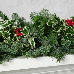 Variegated Holly &amp; Holiday Greenery Live Wreath &amp; Garland