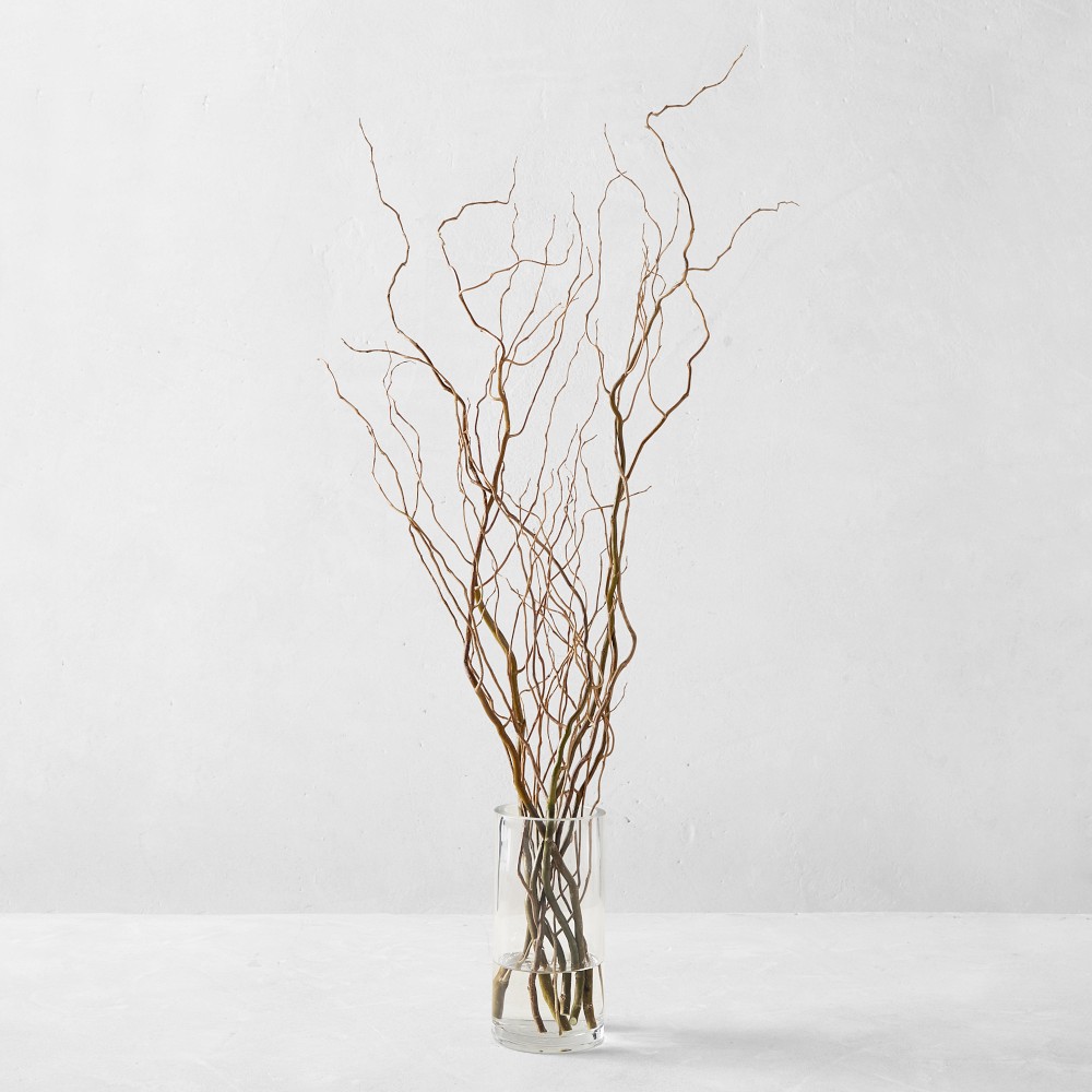 Curly Willow Branches