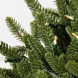 Balsam Hill Fraser Fir Pre-Lit Faux Wreath &amp; Garland