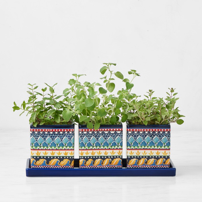 Sicily Herb Planter Set | Williams Sonoma
