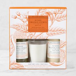 Williams Sonoma Sunny Orange Citrus Guest Set