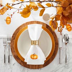 Guy Degrenne Absolu Flatware Sets