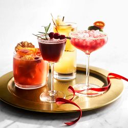 Williams Sonoma Reserve Nick and Nora Glasses