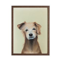 Limited Edition Dog Portrait I, Aardi