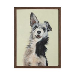 Limited Edition Dog Portrait IV, Lorenzo