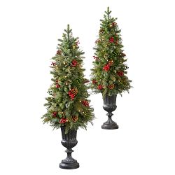Outdoor Winter Evergreen Pre-Lit Tree in Black Pot, Set of 2
