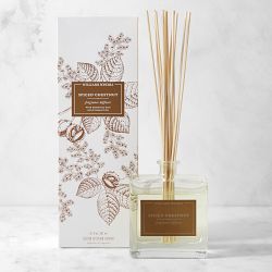 Williams Sonoma Spiced Chestnut Diffuser, Large